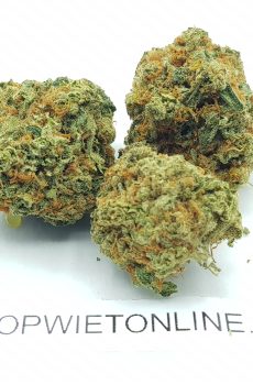 AK Kush